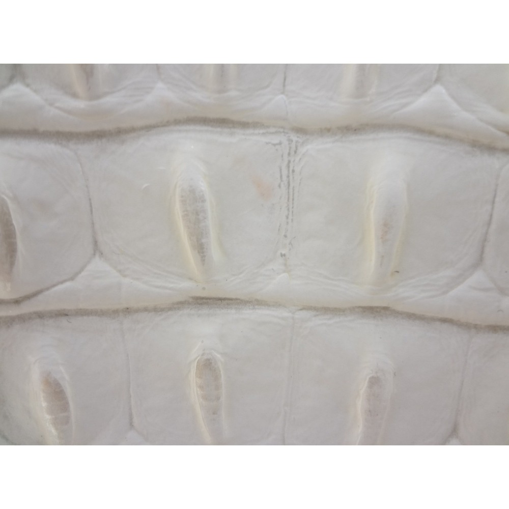 Brahmin Medium Asher Tote Croc Embossed Leather Coconut Milk - Picture 11 of 12